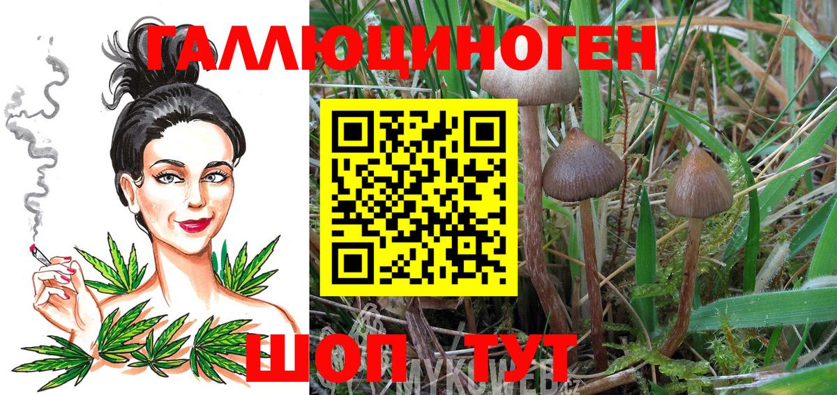 Галлюциногенные грибы мицелий  Вход с VPN  Псилоцибиновые грибы Psilocybe  Гусь-Хрустальный 